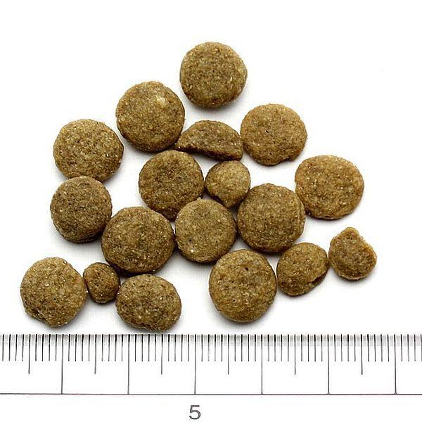 最短賞味2026.11.23・アディクション 犬 サーモンブルー 9kg全年齢犬用ドッグフードADDICTION正規品add11021 | YKエンタープライズ | 01