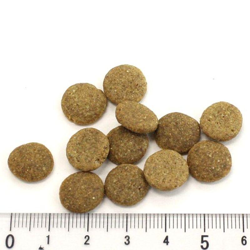 最短賞味2028.2.10・アディクション 犬 ワイルドアイランズ ドッグ パシフィックキャッチ4.2kg(700g×6)専用ダンボール出荷 袋ラベル無しadd11035 | YKエンタープライズ | 02