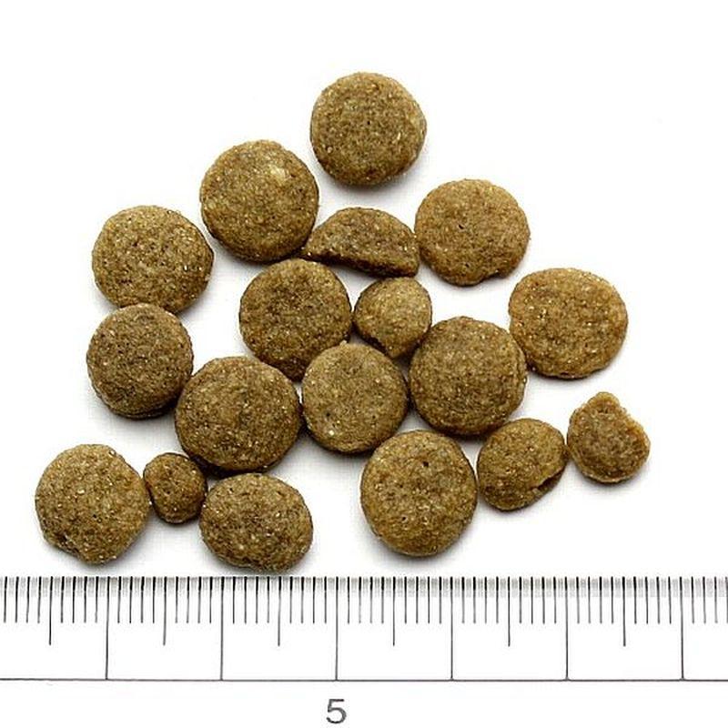 最短賞味2027.7.5・アディクション 犬 サーモンブルー 4.8kg（800g×6袋）専用ダンボール出荷 袋のラベル無し 正規品add11038の画像
