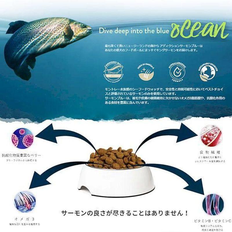 最短賞味2027.7.5・アディクション 犬 サーモンブルー 4.8kg（800g×6袋）専用ダンボール出荷 袋のラベル無し 正規品add11038の画像