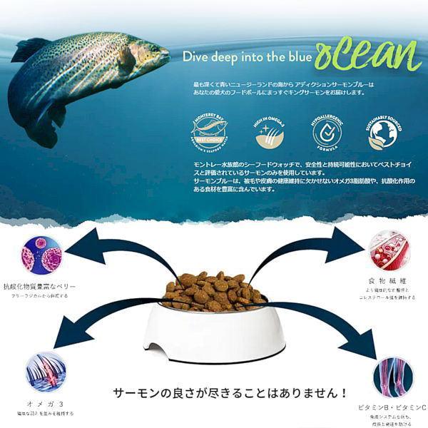 最短賞味2027.7.5・アディクション 犬 サーモンブルー 500g全年齢犬用ドッグフードADDICTION正規品add11090 | YKエンタープライズ | 03