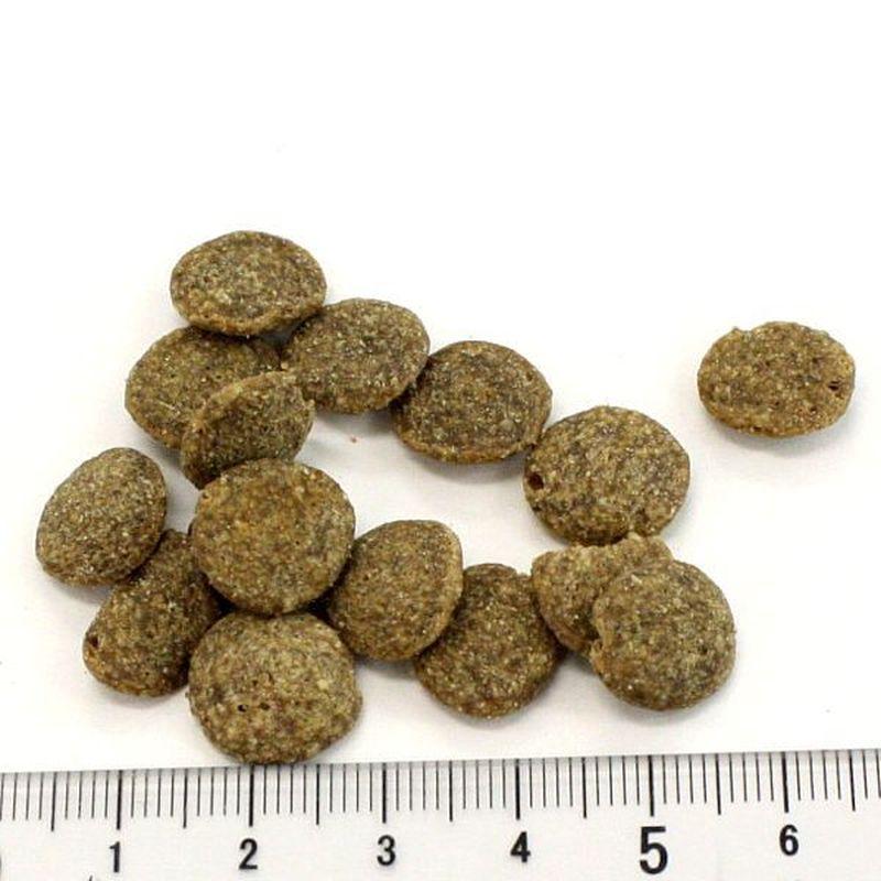 NEW 最短賞味2027.10.18・アディクション 犬 ワイルドアイランズ ドッグ フォレストミートレシピ50g全年齢犬用 有料サンプル正規品add11103 | YKエンタープライズ | 01