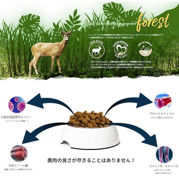 最短賞味2027.12.13・アディクション 犬 ビバ・ラ・ベニソン 900g全年齢犬用ドッグフード正規品add11182 | YKエンタープライズ | 01