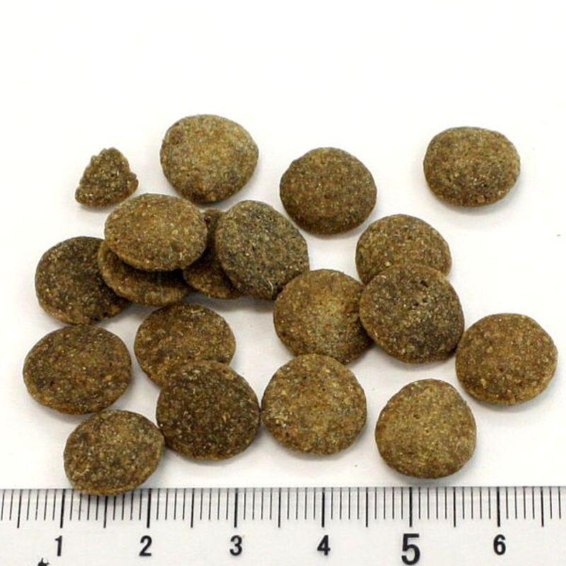 最短賞味2027.6.29・アディクション 犬 ワイルドアイランズ ドッグ ハイランドミーツ50g成犬用ドライ正規品add11202 | YKエンタープライズ | 01
