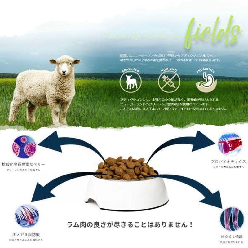 最短賞味2027.7.23・アディクション 犬 ル・ラム 4.8kg（800g×6袋）専用ダンボール出荷 袋のラベル無し 正規品add11236の画像