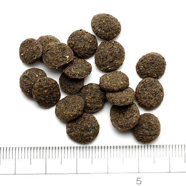 最短賞味2027.7.2・アディクション 犬 ワイルド カンガルー＆アップル 4.8kg（800g×6袋）専用ダンボール出荷 袋のラベル無し 正規品add11533 | YKエンタープライズ | 01