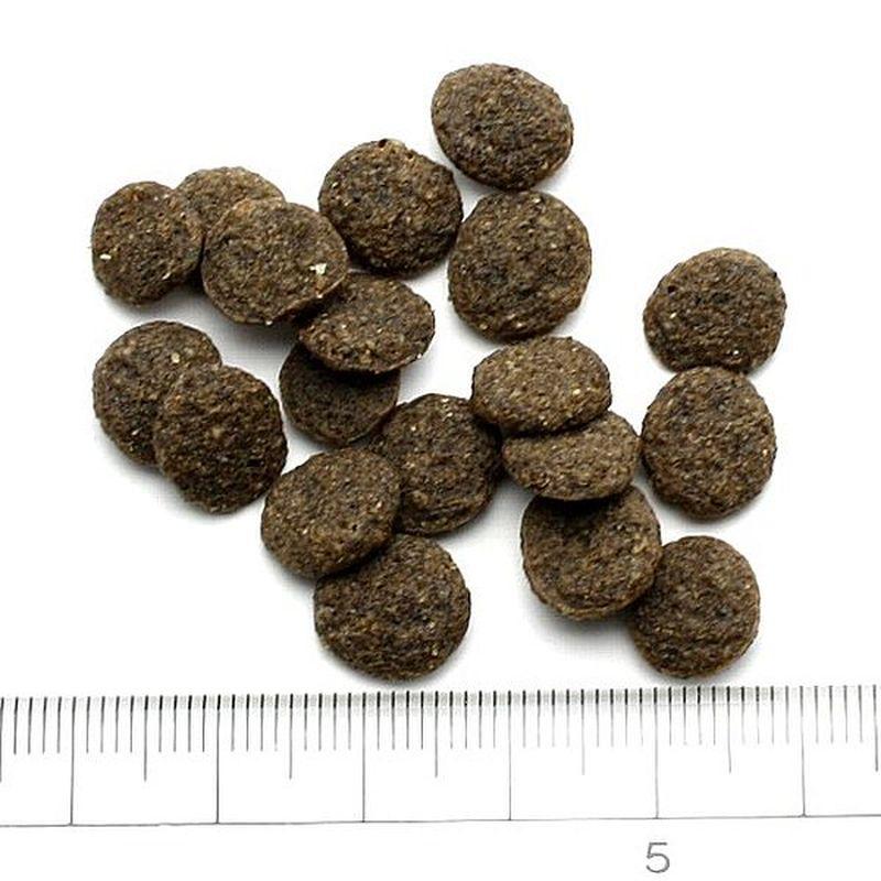 最短賞味2028.3.12・アディクション 犬 ワイルド カンガルー＆アップル 4.8kg（800g×6袋）専用ダンボール出荷 袋のラベル無し 正規品add11533 | YKエンタープライズ | 01