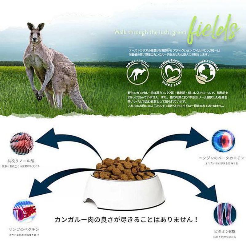 最短賞味2028.3.12・アディクション 犬 ワイルド カンガルー＆アップル 4.8kg（800g×6袋）専用ダンボール出荷 袋のラベル無し 正規品add11533 | YKエンタープライズ | 03