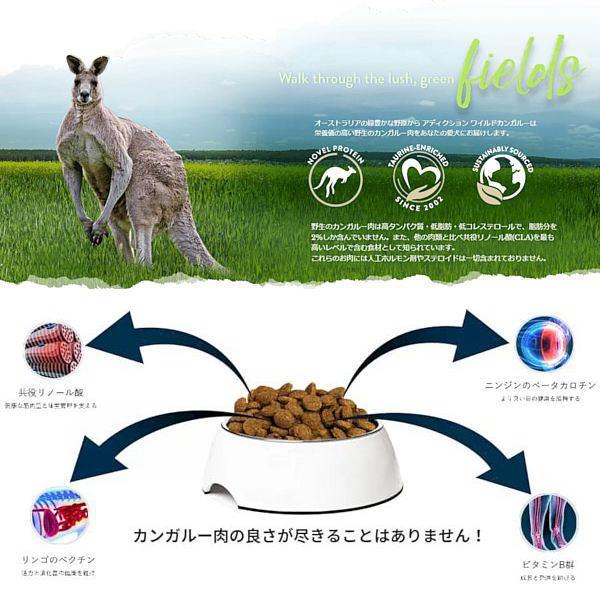 最短賞味2028.2.9・アディクション 犬 ワイルド カンガルー＆アップル 900g全年齢犬用ドッグフード正規品add11588 | YKエンタープライズ | 01