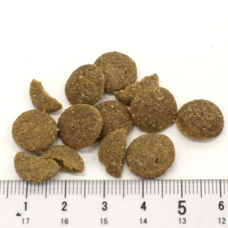 最短賞味2027.11.24・アディクション 犬 ワイルドアイランズ ドッグ アイランドバーズ4.2kg(700g×6)専用ダンボール出荷add11837 | YKエンタープライズ | 01