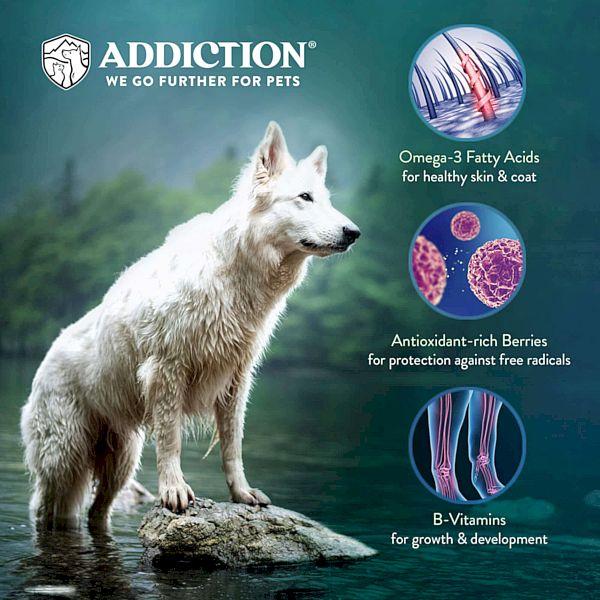 最短賞味2027.3.28・アディクション 犬 メガ 9kg成犬用グレインフリードッグフード正規品add72084_3