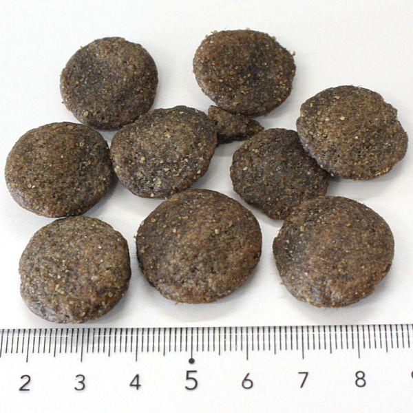 最短賞味2027.3.28・アディクション 犬 メガ 9kg成犬用グレインフリードッグフード正規品add72084_6