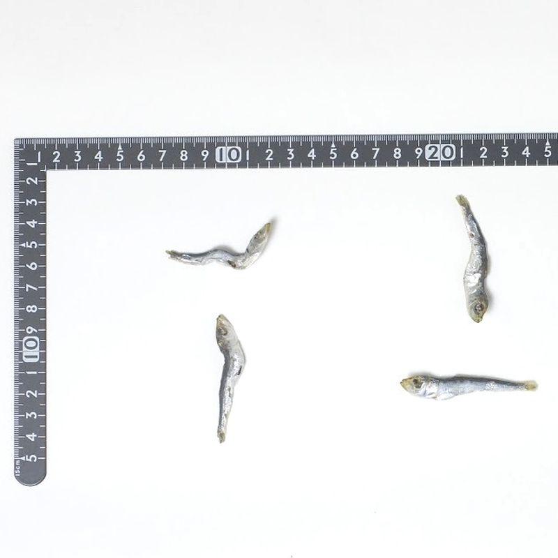 NEW 最短賞味2027.7・アイファクトリー 香 マイワシ 35g 犬猫用おやつ・京都府産・国産・無添加 ai00344 |  | 02