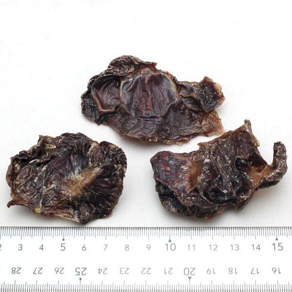 最短賞味2027.1・アイファクトリー 香 浜千鳥の砂肝35g犬猫用おやつ 愛媛県産浜千鳥 無添加 国産ai00795 |  | 02