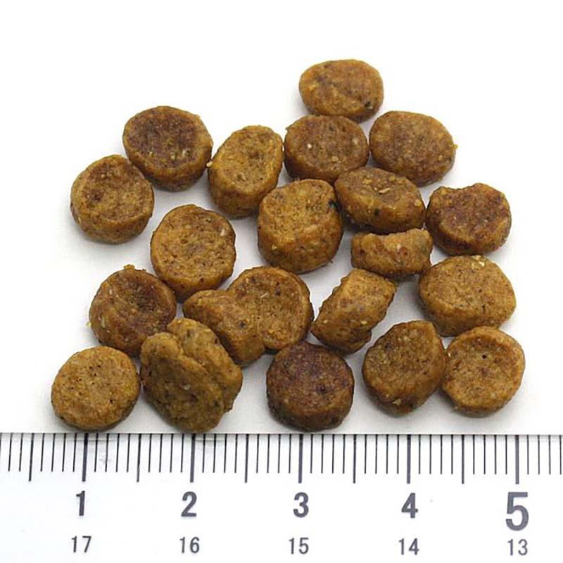 最短賞味2027.7.31・アルモネイチャー 猫 ユリナリーサポート フレッシュチキン 400g alc665泌尿器ケア対応キャットフード 正規品 | アルモネイチャー | 01