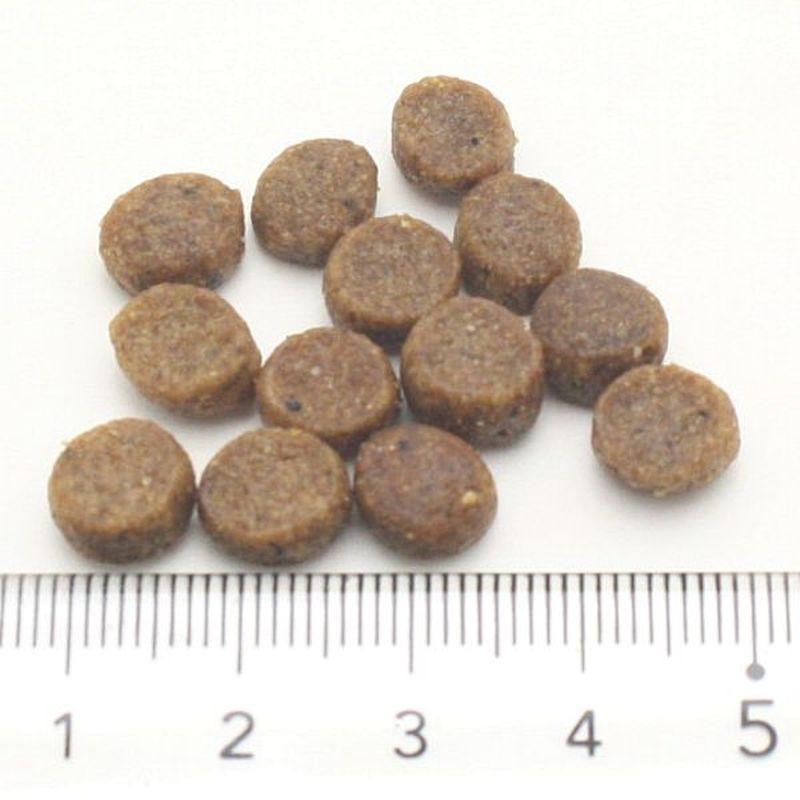 最短賞味2027.7.31・アルモネイチャー 猫 ファンクショナル避妊・去勢用 フレッシュ ビーフ 2kg alc670キャットフードalmo nature正規品 | アルモネイチャー | 01