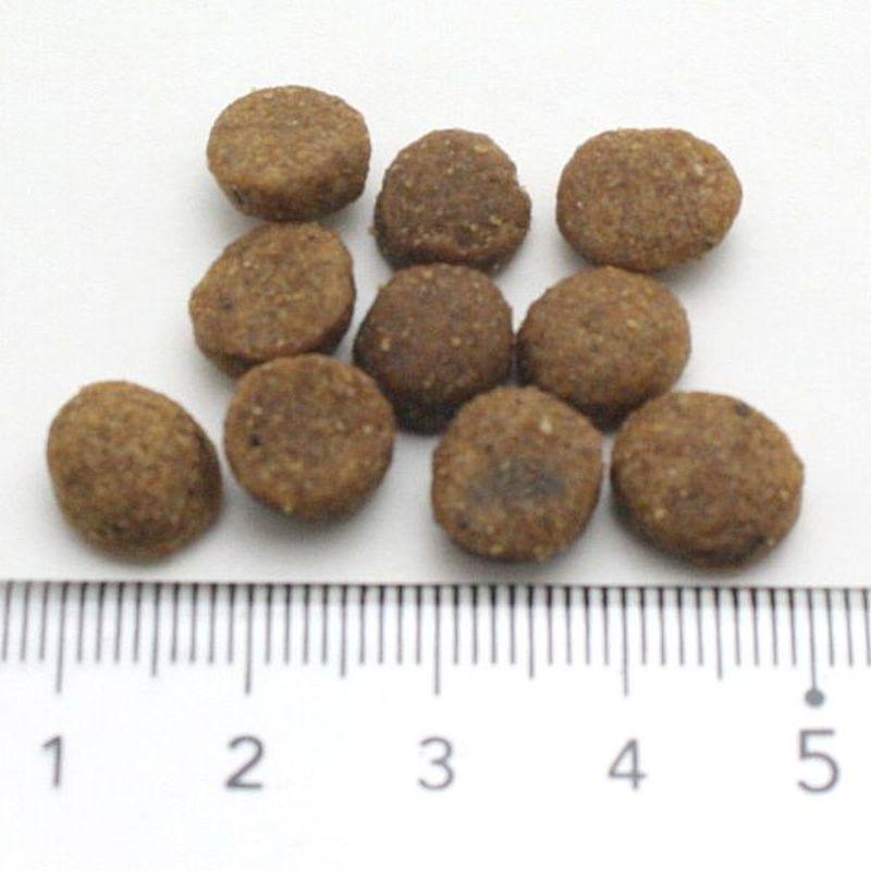 最短賞味2027.9.30・アルモネイチャー 猫 ファンクショナル避妊・去勢用 フレッシュサーモン2kg alc671 キャットフード 正規品 | アルモネイチャー | 01