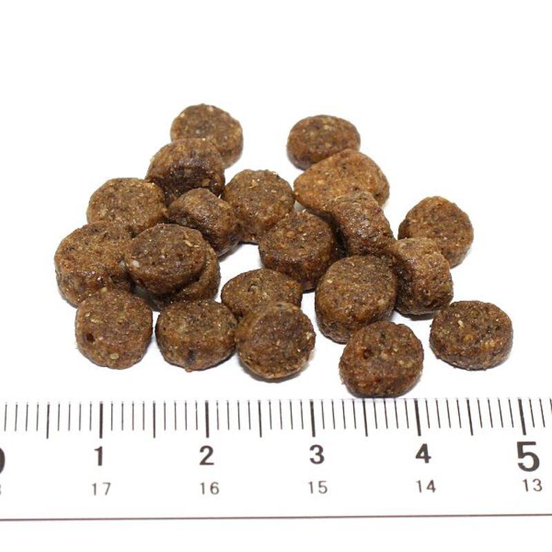 最短賞味2027.4.30・アルモネイチャー 犬 ラム 小粒 2kg ald711成犬用ドッグフード正規品 | アルモネイチャー | 01