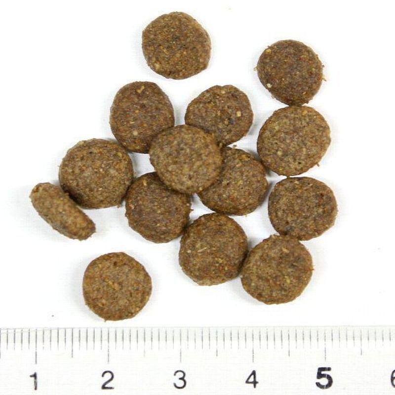最短賞味2027.7.31・アルモネイチャー 犬 チキン 小粒 2kg ald714成犬用ホリスティック ドッグフードalmo nature正規品 | アルモネイチャー | 01