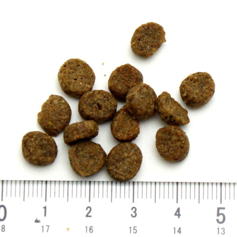 最短賞味2027.7.31・アルモネイチャー 犬 サーモン 小粒 2kgドライ ald715ホリスティック ドッグフードalmo nature正規品 | アルモネイチャー | 01