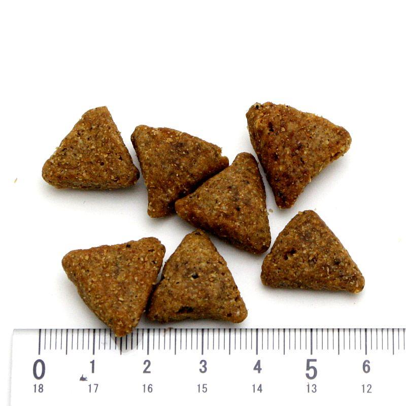 おまけ付き！最短賞味2027.3.31・アルモネイチャー 犬 チキン 中粒 12kg大袋 ald744成犬用ホリスティック ドッグフードalmo nature正規品 | アルモネイチャー | 01