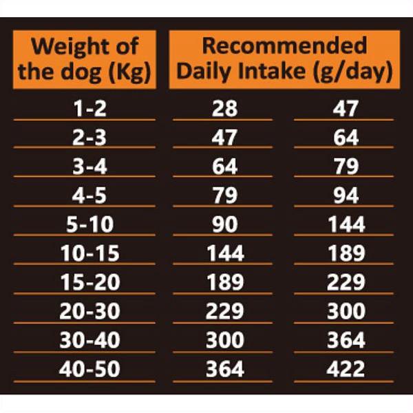 最短賞味2028.6.11・アンブロシア 犬 HMNターキー 12kg シニア犬・成犬用ドライ ドッグフードAMBROSIA正規品amb07682 |  | 03