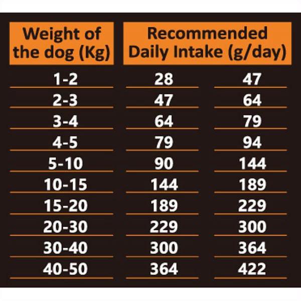 最短賞味2025.11.7・アンブロシア 犬 HMNターキー 5kg シニア犬・成犬用ドライ ドッグフードAMBROSIA正規品amb32873｜nachu｜04