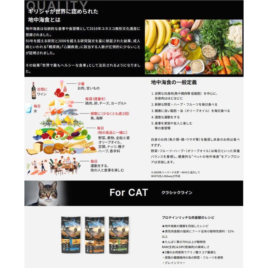 最短賞味2028.4.21・アンブロシア 猫 キャットトラウト＆ラビット 5kg 全猫用 特にシニア猫/インドア/避妊去勢/肥満猫ドライフード正規品amb32958 |  | 02