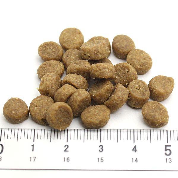 最短賞味2027.3.4・アーテミス 猫 フレッシュミックス フィーライン 500g 全年齢猫用キャットフードARTEMIS正規品ar02000 | ARTEMIS（ペット） | 01