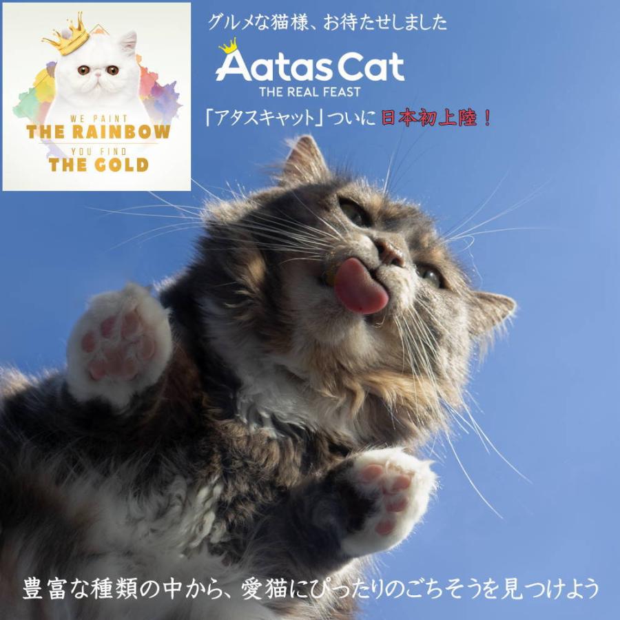 SALE・20％off最短賞味2027.12・アタスキャット クリーミーチキン チキン＆ベジタブル80g 全年齢猫用一般食ata30167 | Aatas Cat | 06