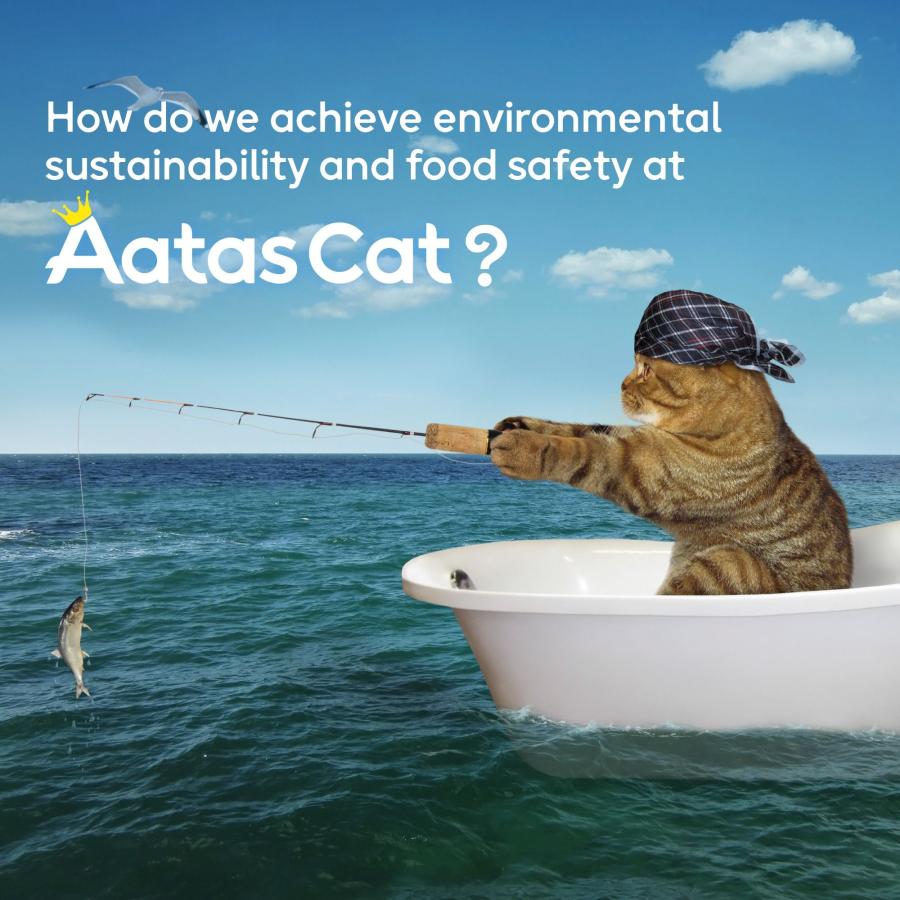 SALE・20％off/NEW 最短賞味2028.12・アタスキャット タンタライジング ツナ＆シーブリーム 80g 全年齢猫用一般食ata30372 | Aatas Cat | 05