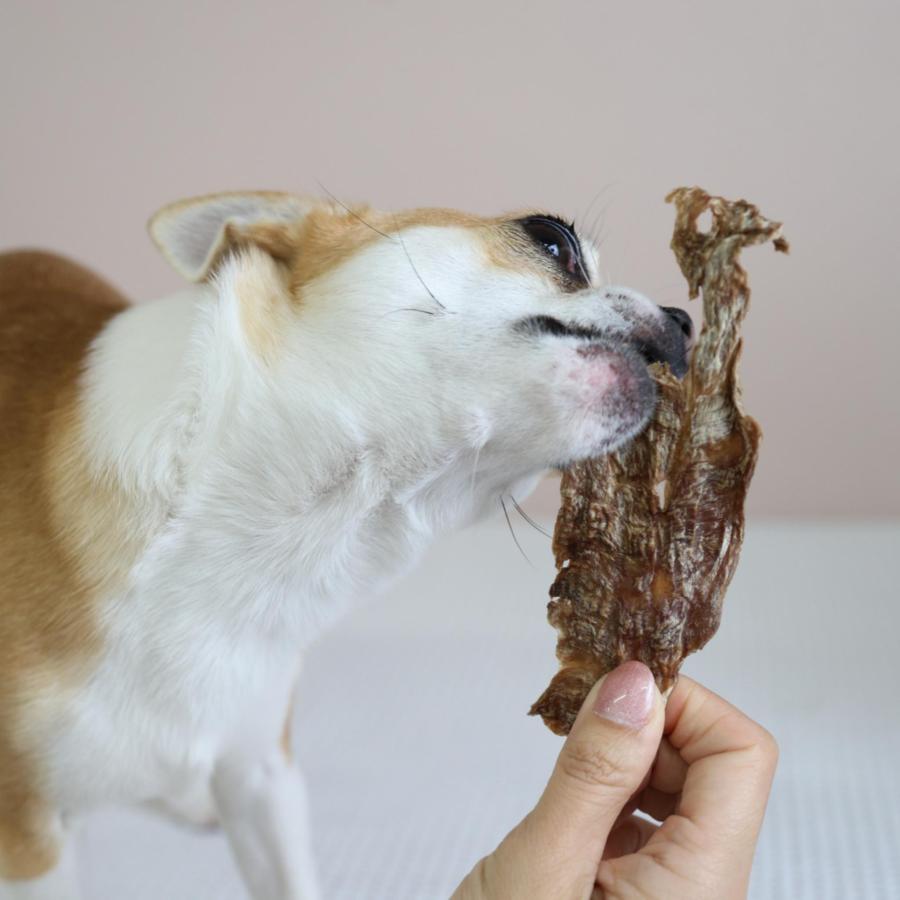 最短賞味2026.11・エーワン ササミなカモせん30g犬用おやつawa62333正規品 |  | 04