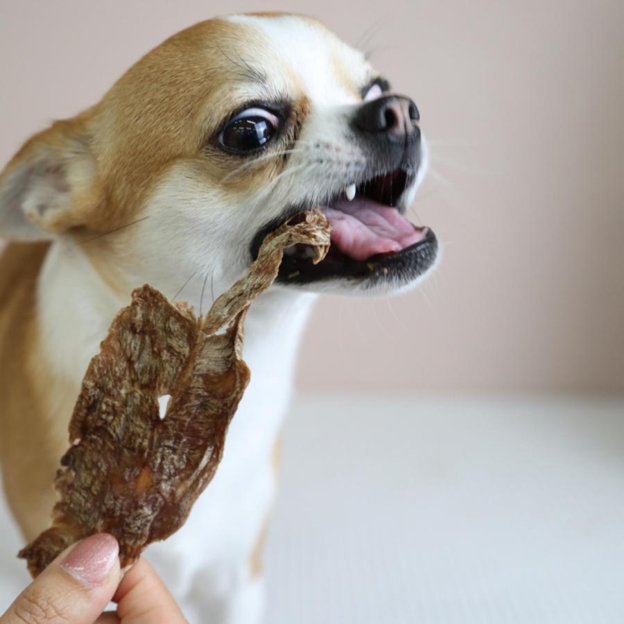 最短賞味2026.11・エーワン ササミなカモせん30g犬用おやつawa62333正規品 |  | 05