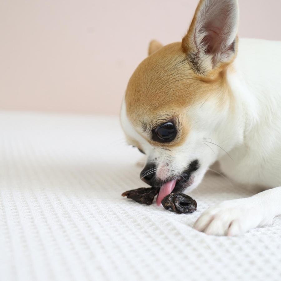 最短賞味2026.10・エーワン 一口ハツカモ！？30g犬用おやつawa62340正規品 |  | 04