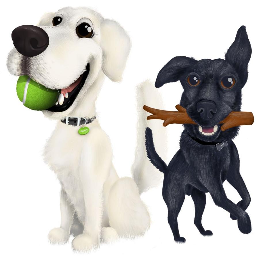 NEW 最短賞味2026.11.25・ベイリーコー 犬用フリーズドライ コンプリート4袋セット！Bailey+Co正規品bac22191 SALE |  | 06