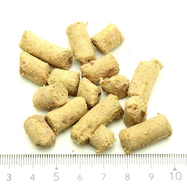 最短賞味2027.3.30・ベイリーコー 犬用フリーズドライ コンプリート