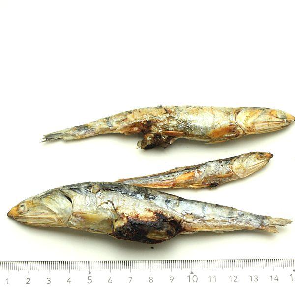 最短賞味2027.1・ベイリーコー 猫用フリーズドライ 丸ごとアンチョビ70gおやつBailey+Co正規品bacncsa70 |  | 01