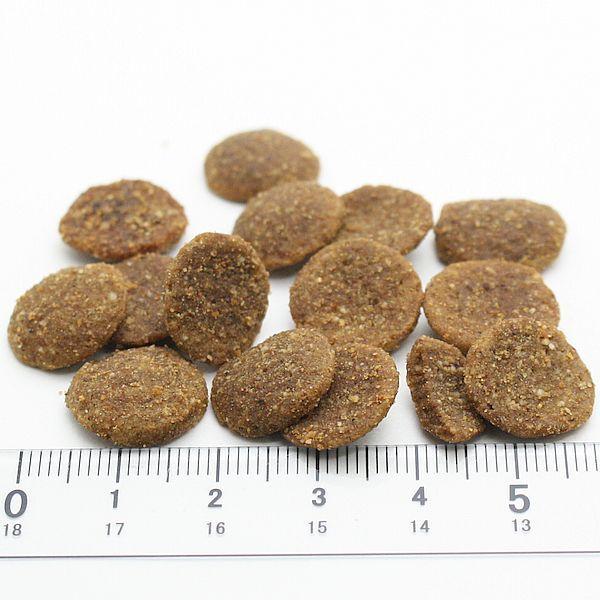 最短賞味2024.3・ビィナチュラル ルート・ポークライト中粒 8.2kg成犬