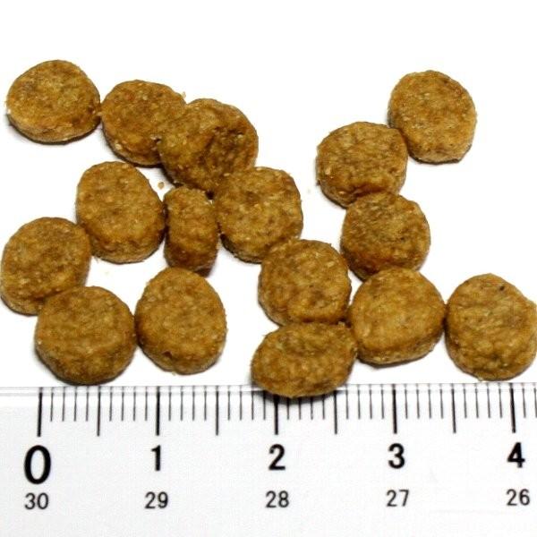 最短賞味2026.12.25・ブリスミックス 猫 チキン 500g 全年齢対応 キャットフード 口腔善玉菌K12配合 BLISMIX 正規品 bl60105 | BLISMIX | 01