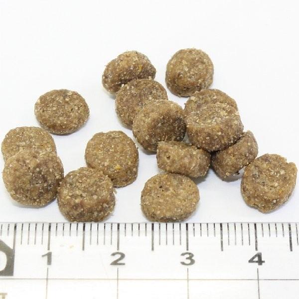 最短賞味2026.11.26・ブリスミックス 犬 サーモン 小粒 1kg 全年齢対応ドッグフード 口腔善玉菌K12配合 BLISMIX 正規品 bl60174 | BLISMIX | 01