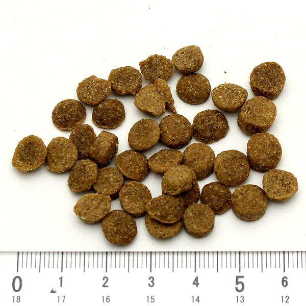 最短賞味2027.1.30・ブリスミックス 犬 ポーク 小粒 1kg成犬シニア対応ドッグフードBLISMIX正規品bl60372 | BLISMIX | 01