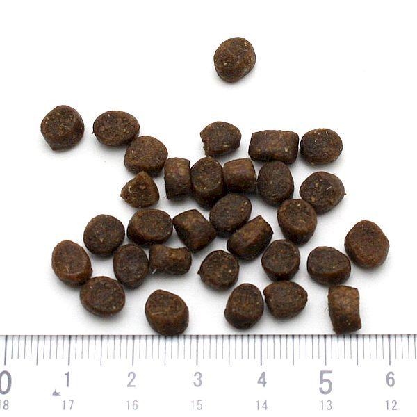 最短賞味2026.12.25・ブリスミックス 猫 グレインフリーキャット 1kg全年齢猫用キャットフード正規品bl60440 | BLISMIX | 01