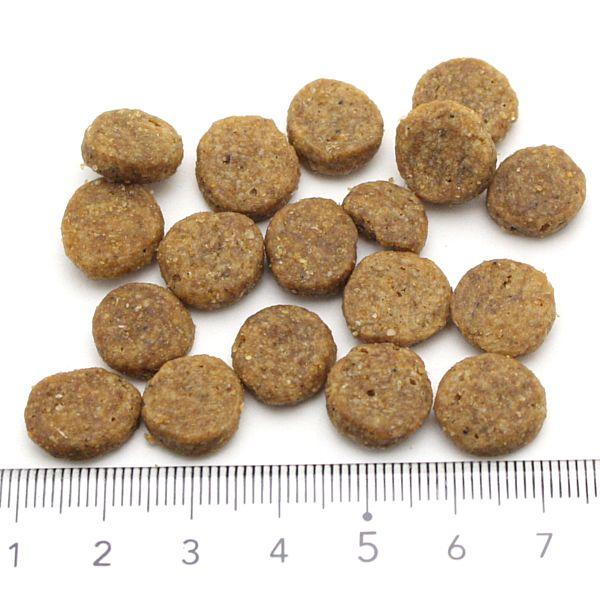 最短賞味2026.12.26・ブリスミックス 犬 チキン 中粒 3kg 全年齢対応ドッグフード 口腔善玉菌K12配合BLISMIX正規品bl60549 | BLISMIX | 01