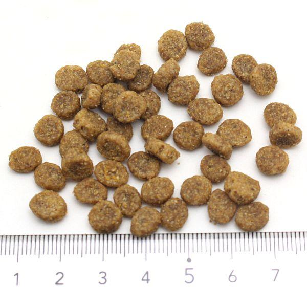 最短賞味2027.1.30・ブリスミックス 犬 チキン 小粒 1kg 全年齢対応ドッグフード 口腔善玉菌K12配合BLISMIX正規品bl60570 | BLISMIX | 01