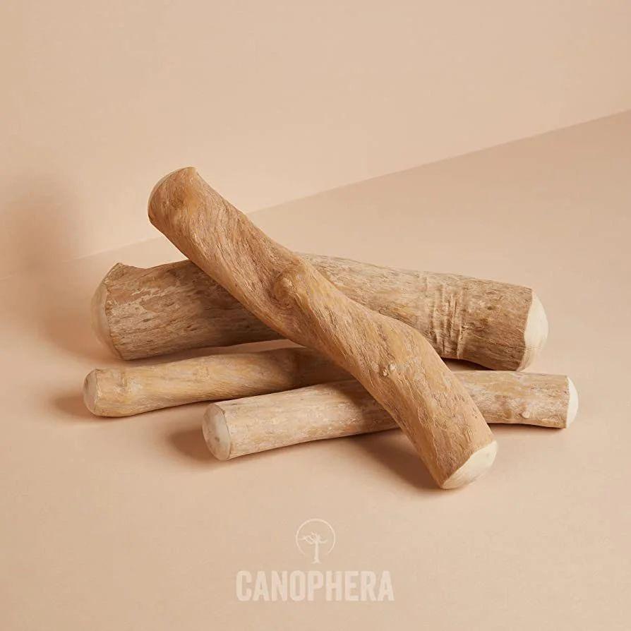 CANOPHERA キャノフィラ デンタル チュースティック １本入 サイズ XS 正規品 ca51106コーヒーの木 |  | 01
