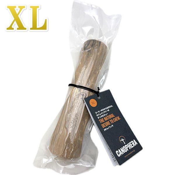 CANOPHERA キャノフィラ デンタル チュースティック １本入 サイズ XL 正規品 ca51144コーヒーの木 | 