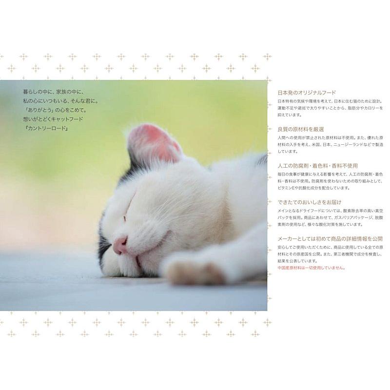最短賞味2027.7・カントリーロード フィーラインアドバンス チキン&ベジタブル70g成猫シニア猫用 総合栄養食cr09817 | カントリーロード | 03