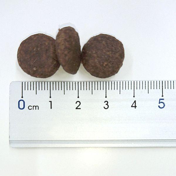 最短賞味2026.3.17・エンパイア パピーグロース25＋ 12kg仔犬用ドライ ドッグフードEMPIRE正規品em31132 |  | 02