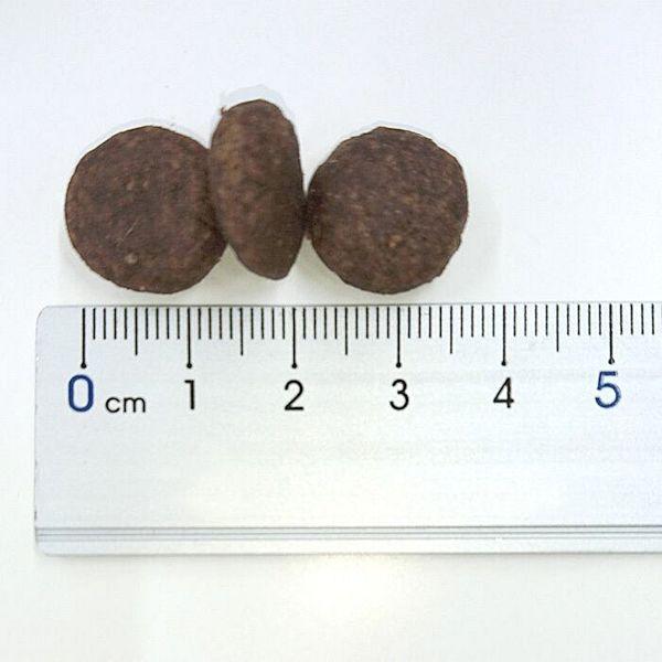 最短賞味2027.4.14・エンパイア アダルトデイリー25＋ 12kg成犬用ドライ ドッグフードEMPIRE正規品em31149 |  | 02