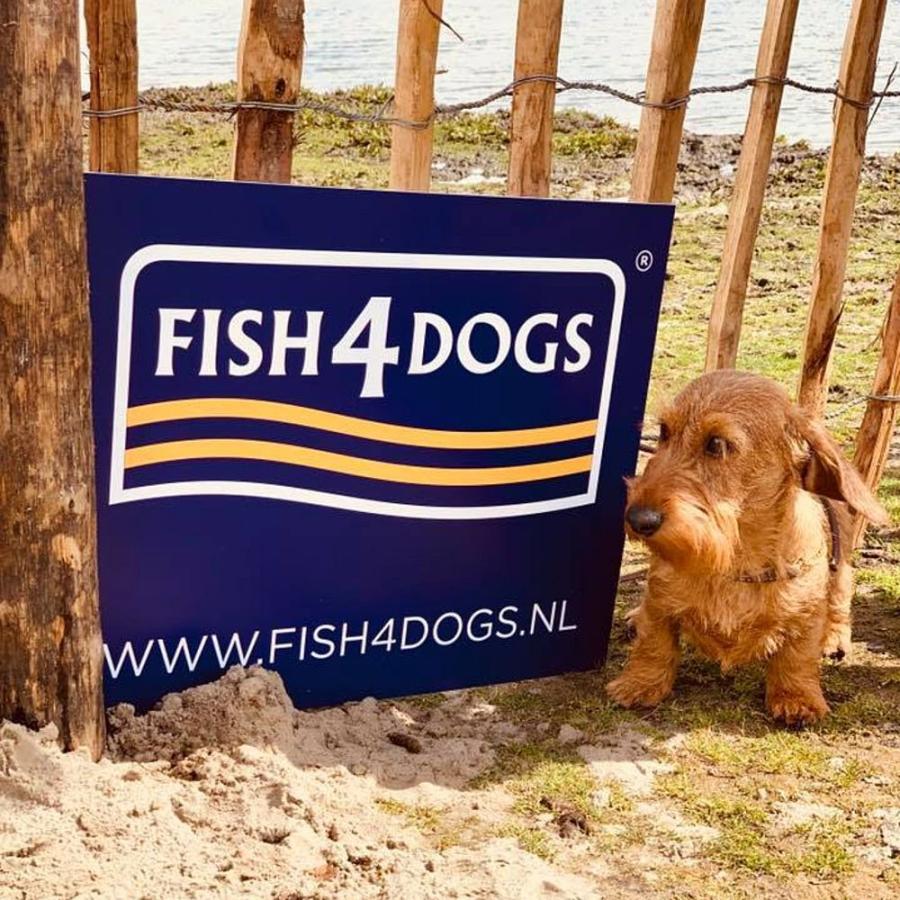 最短賞味2027.5・フィッシュ4ドッグ サーモンスティック85g犬用おやつFISH4DOGS正規品f422200 | フィッシュ4 | 05